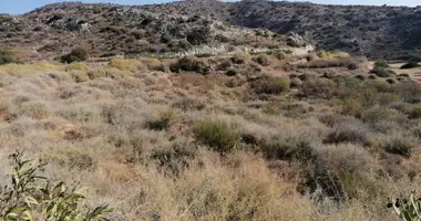 Terrain dans Pissouri Municipality, Chypre