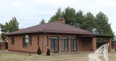 House in Znamienski sielski Saviet, Belarus