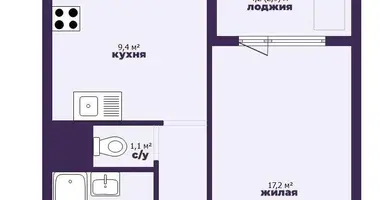 1 room apartment in Minsk, Belarus
