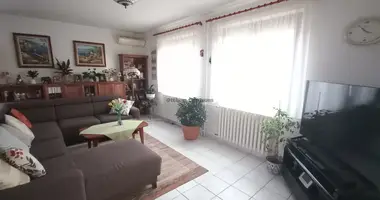 5 room house in Diosd, Hungary