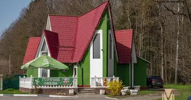 Магазин 152 м² в Хатежинский сельский Совет, Беларусь