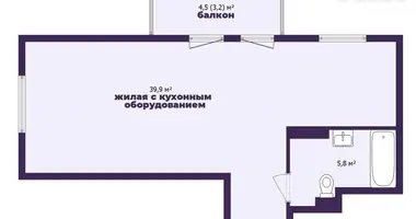 2 room apartment in Minsk, Belarus