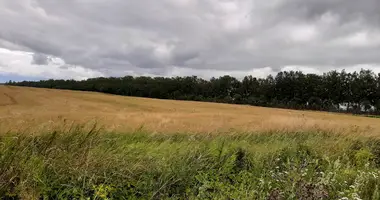 Plot of land in Rozhdestvenskoe selskoe poselenie, Russia