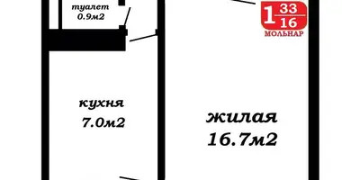 Appartement 1 chambre dans Minsk, Bélarus