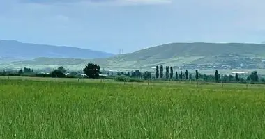 Plot of land in Tsilkani, Georgia