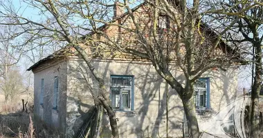 House in Minkavicy, Belarus