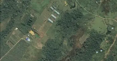 Plot of land in La Banda de Shilcayo, Peru