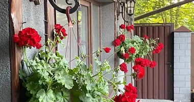 House in Kalodishchy, Belarus