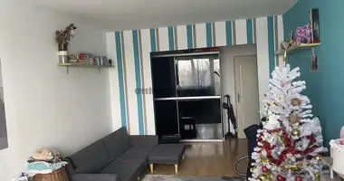 2 room apartment in Tatabanyai jaras, Hungary