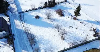 Dom w Stan kauski siel ski Saviet, Białoruś