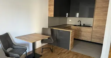 Wohnung 1 Schlafzimmer in Montenegro