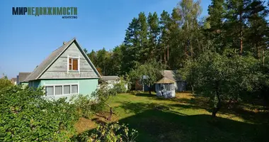 House in Novakolasauski sielski Saviet, Belarus