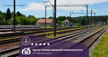 Дом в Олехновичский сельский Совет, Беларусь
