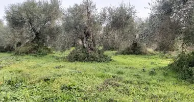 Plot of land in Agios Pantaleimonas, Greece