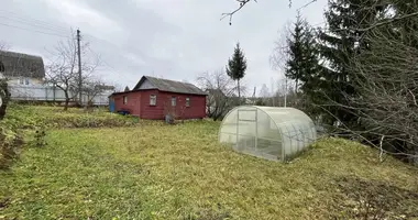 House in Bialarucki sielski Saviet, Belarus