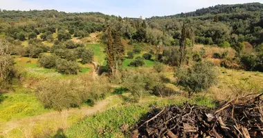 Terrain dans Agios Georgios, Grèce