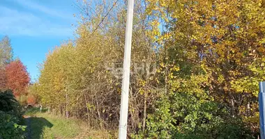 Terrain dans Bolshemokrinskiy selsovet, Fédération de Russie