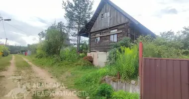 House in Barauski sielski Saviet, Belarus