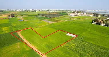 Grundstück in Sotira, Cyprus