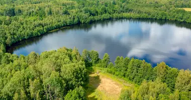 Plot of land in Petrauskai, Lithuania