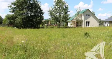 Plot of land in Znamienski sielski Saviet, Belarus