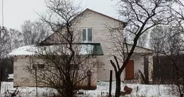 House in Krasnienski sielski Saviet, Belarus