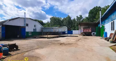 Commercial property 10 m² in Putcynski sielski Saviet, Belarus