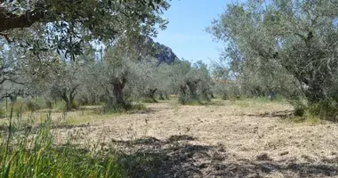 Plot of land in Peloponnese Region, Greece