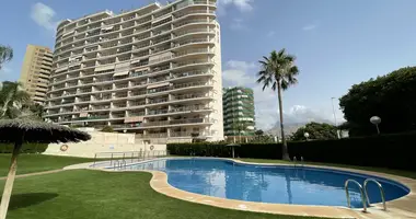 Apartamento 1 habitacion en Benidorm, España