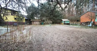 House in Satijai, Lithuania