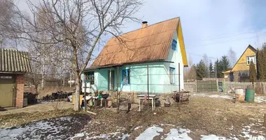 House in Nieharelski sielski Saviet, Belarus