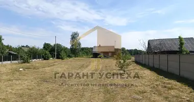 Maison dans Znamienski sielski Saviet, Bélarus