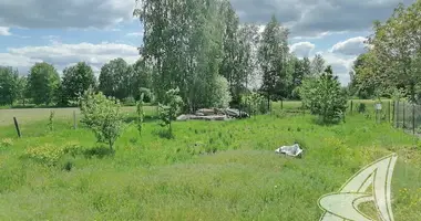 House in Muchaviec, Belarus