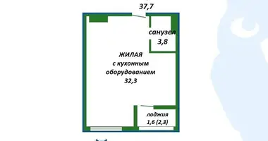 1 room apartment in Minsk, Belarus