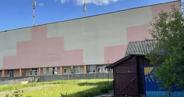 Дом в Новогрудок, Беларусь
