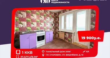 Wohnung 1 Zimmer in Starobin, Weißrussland