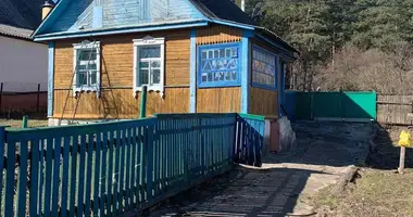 Haus in Minsk, Belarus