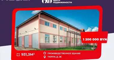 Zakład produkcyjny z parking, z podezdnye puti driveways, z otdelnyy vhod separate entrance w Ciurle Helenowskie, Białoruś