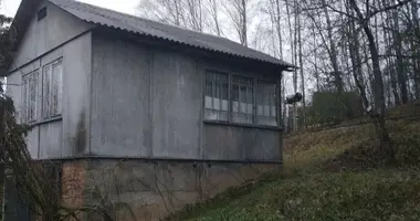 House in Krasnienski sielski Saviet, Belarus