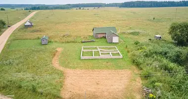 Maison 1 chambre dans Berezkovskiy selskiy Sovet, Biélorussie