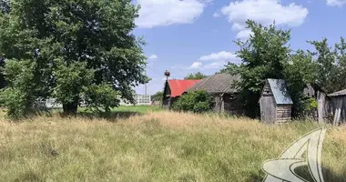 Haus in Vielikarycki siel ski Saviet, Weißrussland