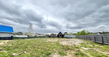 House in Niemanicki sielski Saviet, Belarus