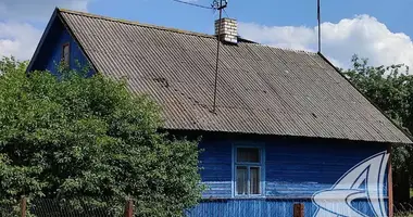 House in Dzmitrovicki sielski Saviet, Belarus