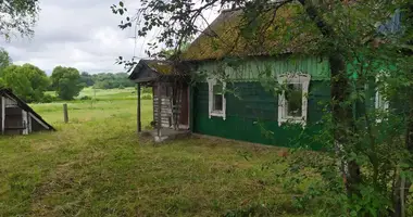 House in Zadrouje, Belarus