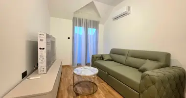 Apartamento 1 habitacion en Cetiña, Montenegro