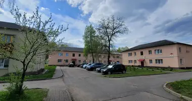 2 room apartment in Kalodishchy, Belarus