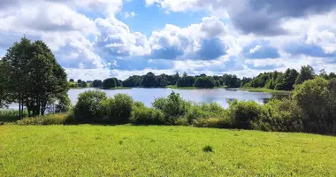 Plot of land in Voropaevskiy selskiy Sovet, Belarus