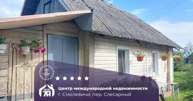 Haus in Smaljawitschy, Weißrussland