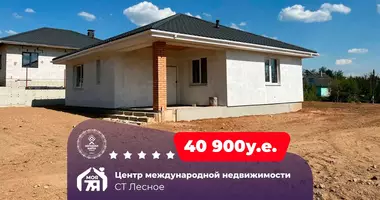 House in Astrosycki sielski Saviet, Belarus