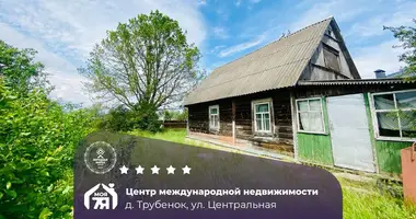 Haus in Zodzinski sielski Saviet, Belarus